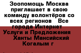 Зоопомощь.Москва приглашает в свою команду волонтёров со всех регионов - Все города Интернет » Услуги и Предложения   . Ханты-Мансийский,Когалым г.
